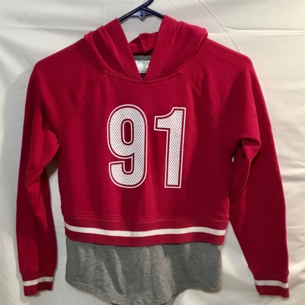 Danskin Now Raspberry & Gray Hoodie